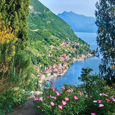 Appartement Window On The *